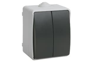 ВС20-2-0-ФСр Выключатель двухклавишный для Открытой установки 1 ФОРС IP54